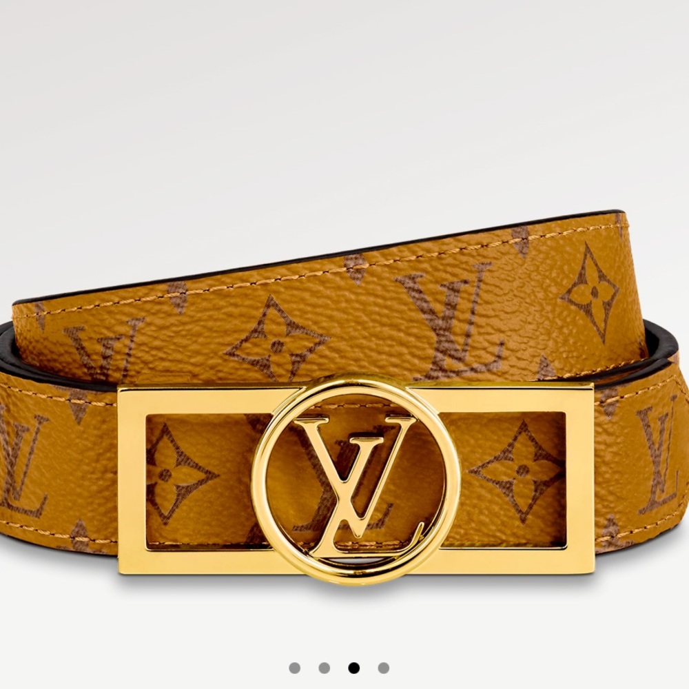 Louis Vuitton authentic belt.